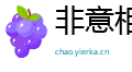 非意相干网